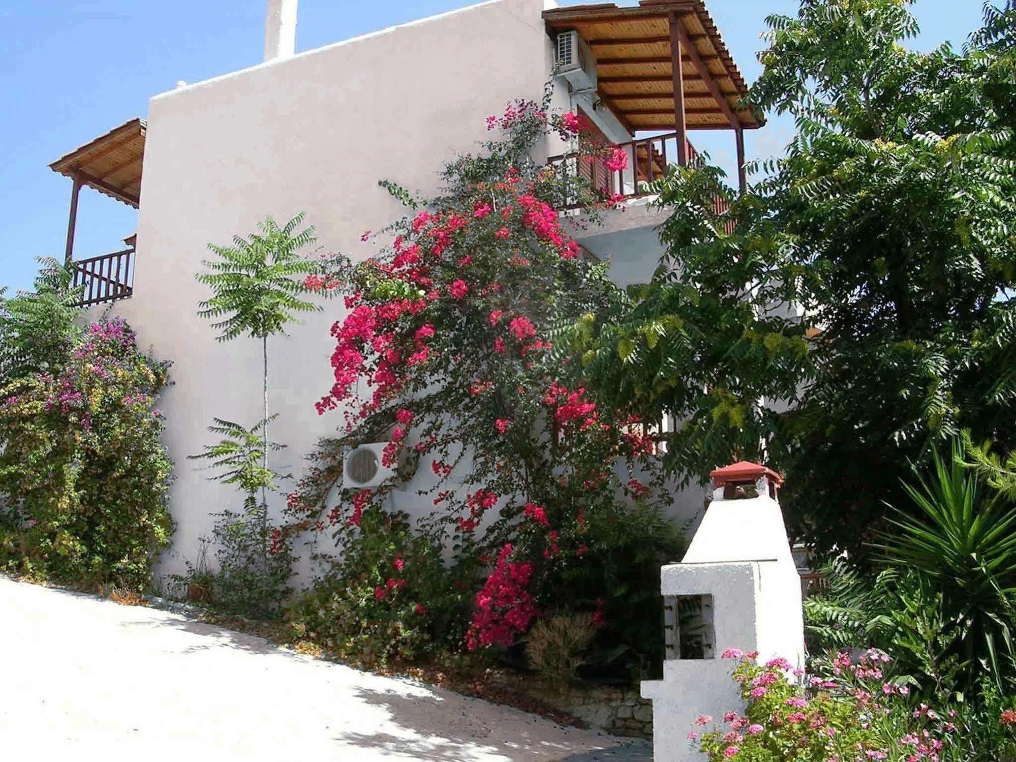 123 Soleil Studios Agia Marina  Exterior photo